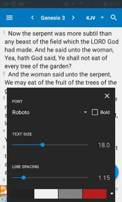 Devotion - Offline Bible android App screenshot 0